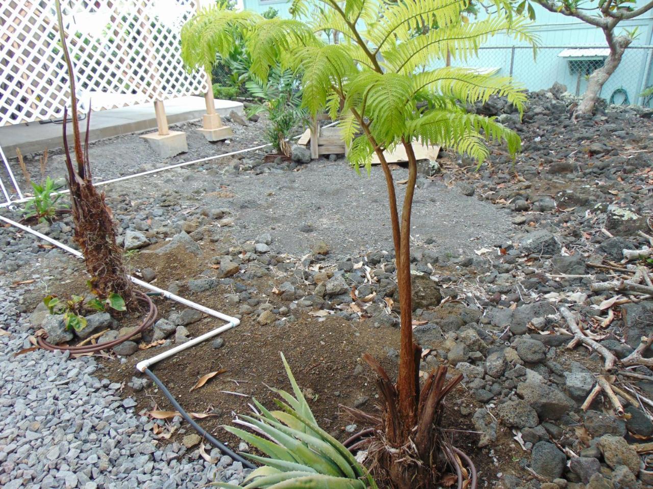 Ohana Hale Kailua-Kona Exterior foto